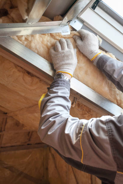 Best Residential Insulation in Nicholson, GA