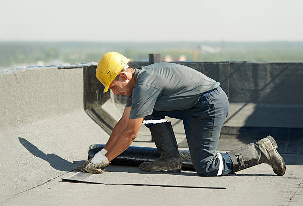 Best DIY Insulation Kits and Guidance in Nicholson, GA