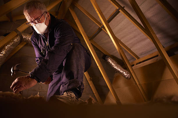 Best Energy Efficiency Insulation in Nicholson, GA
