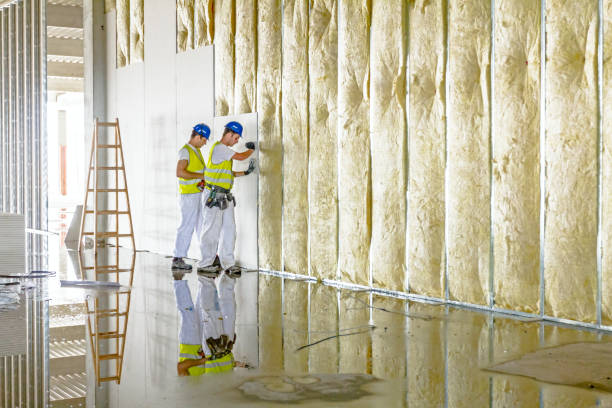 Best Cellulose Insulation in Nicholson, GA
